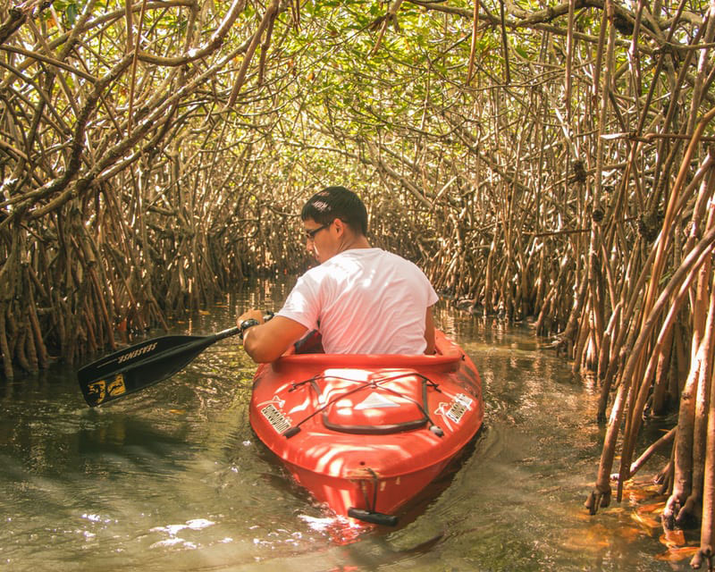 The Adventurous Secrets of Belize